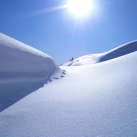 Der Winklhof Saalfelden